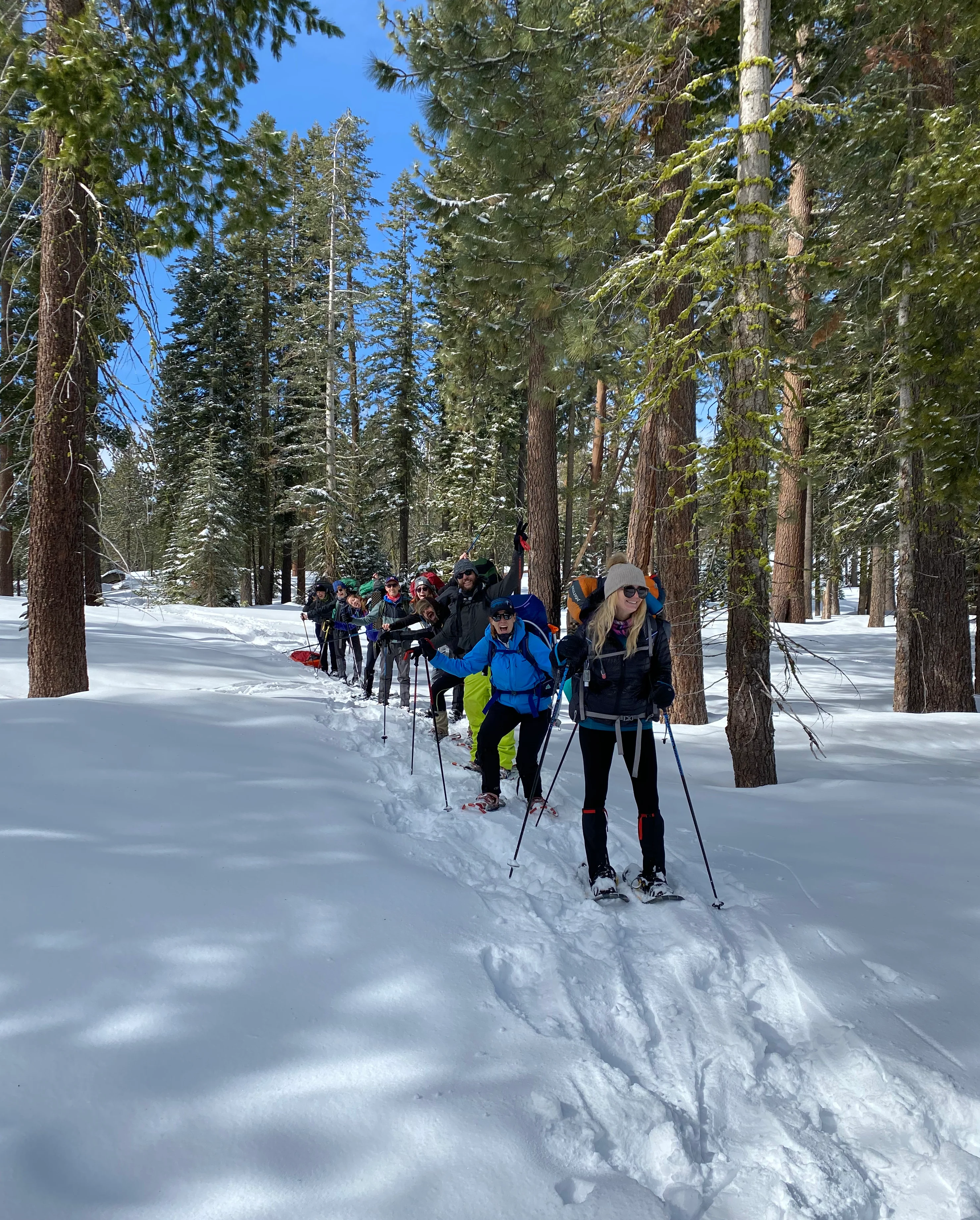 Snowshoeing Yosemite: Valley Overlook - Image 39