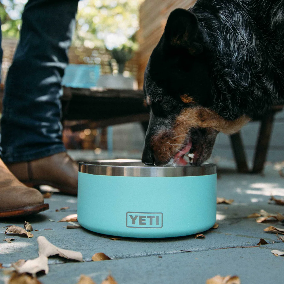 Boomer 8 Dog Bowl - Image 7