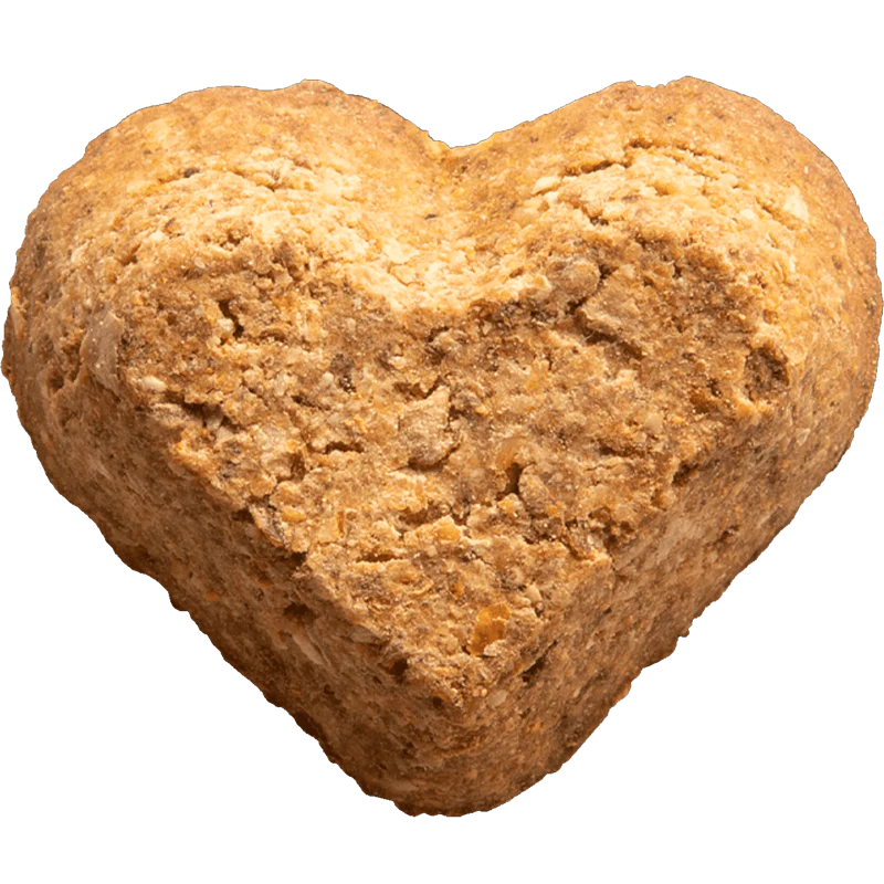 Campfire Feast Baked Dog Biscuits - Image 3