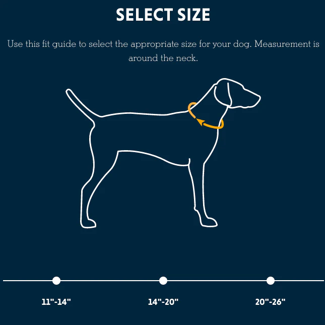 Flat Out Dog Collar - Image 6