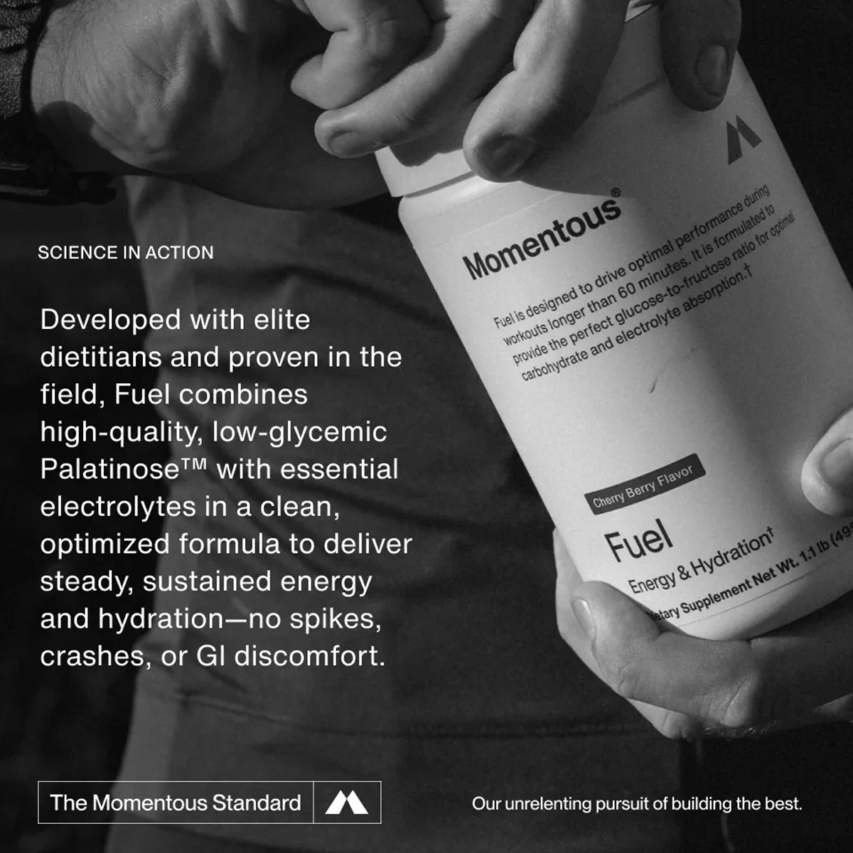Fuel (15 Servings) - Image 4