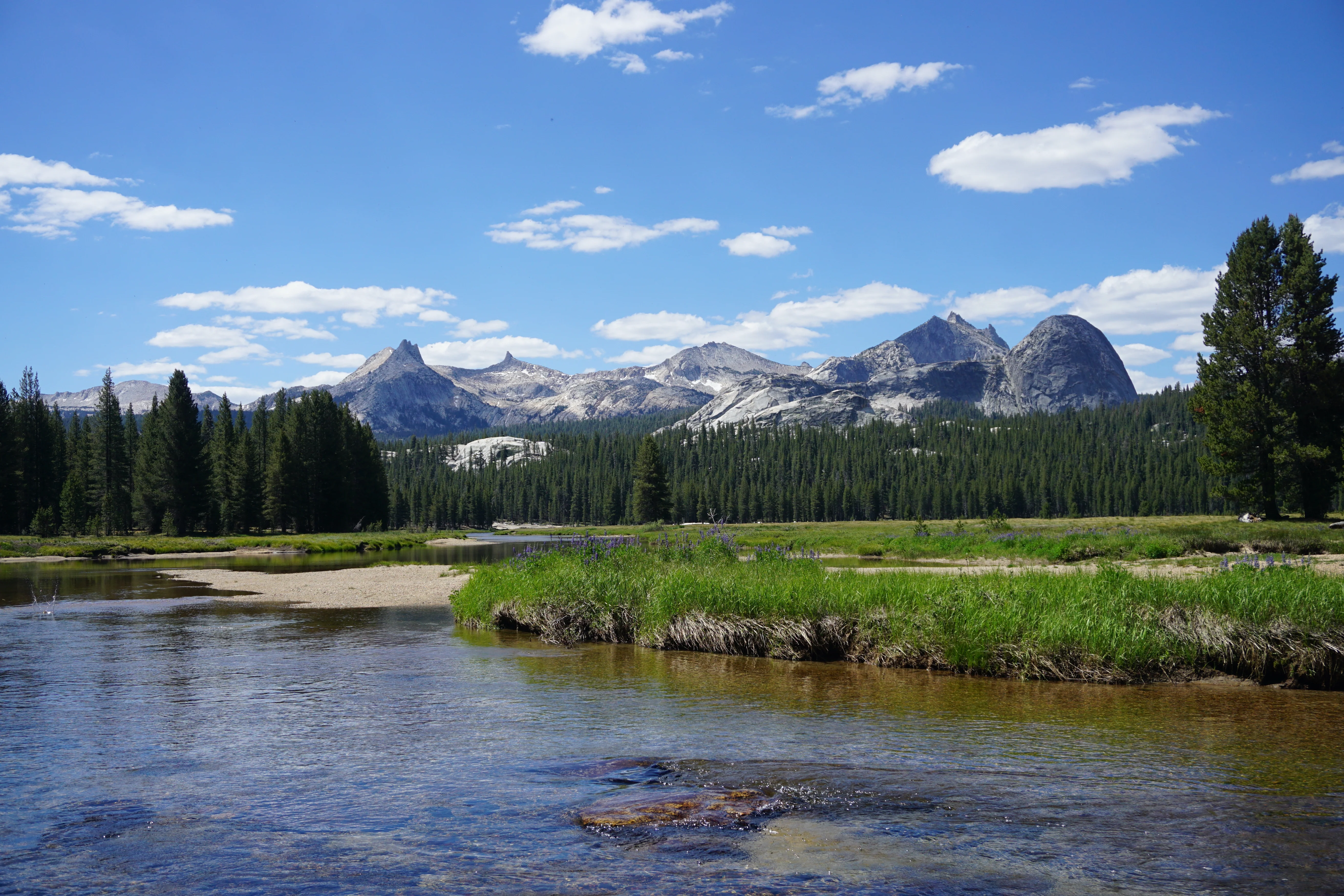Backpacking Yosemite: Glen Aulin - Image 27