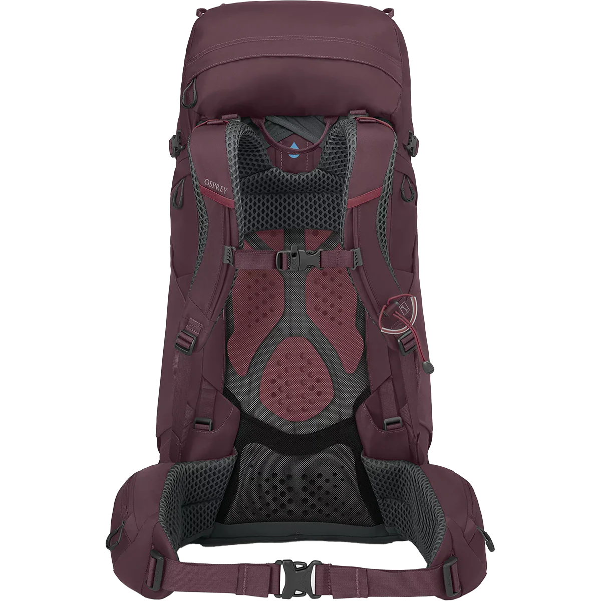 Women's Kyte 48 - Image 5