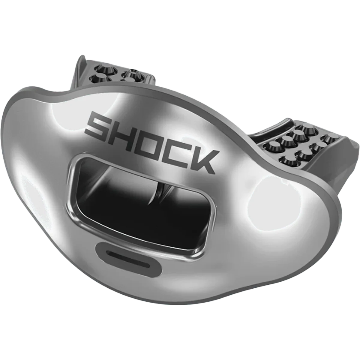 Max AirFlow Lip Guard Chrome - Image 2