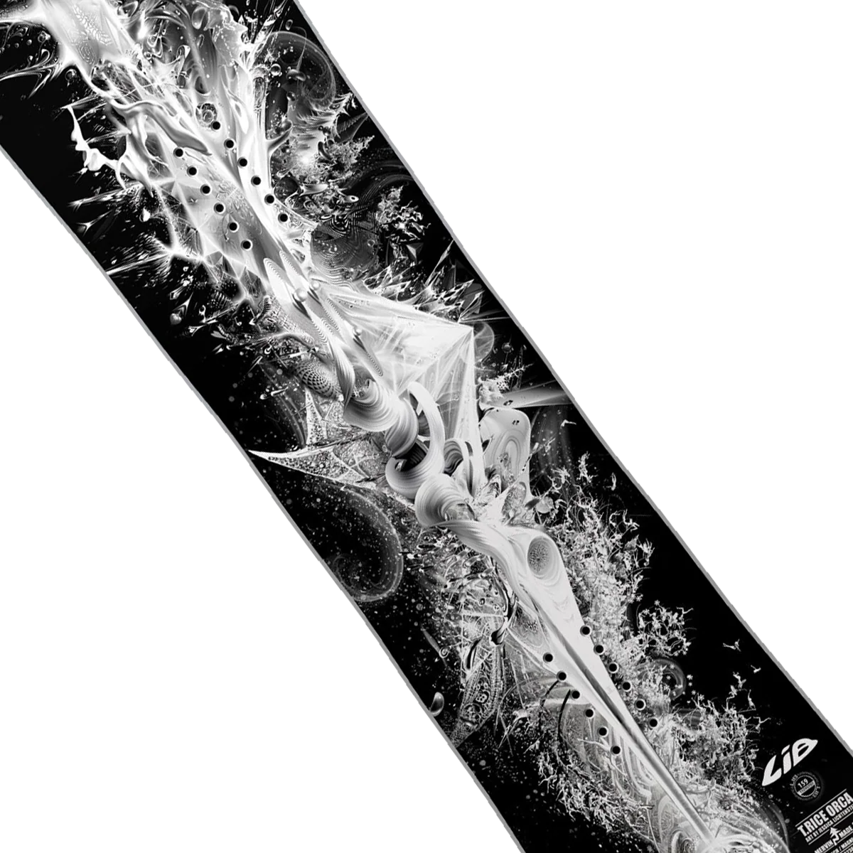 Orca - Image 3