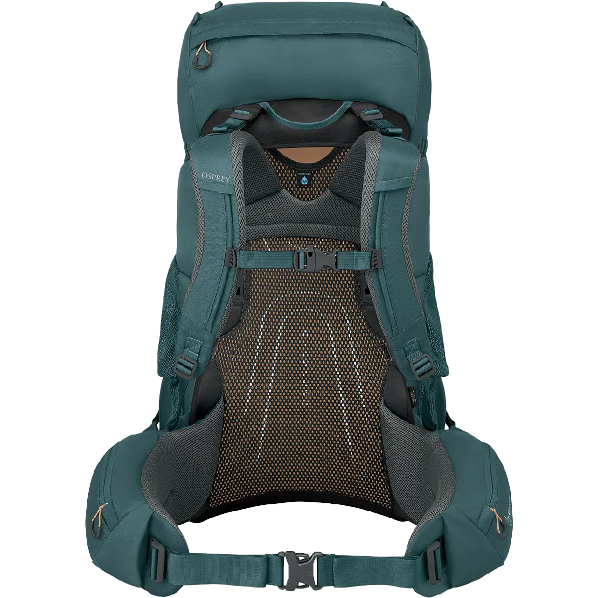 Women's Renn 65L EF - Image 4