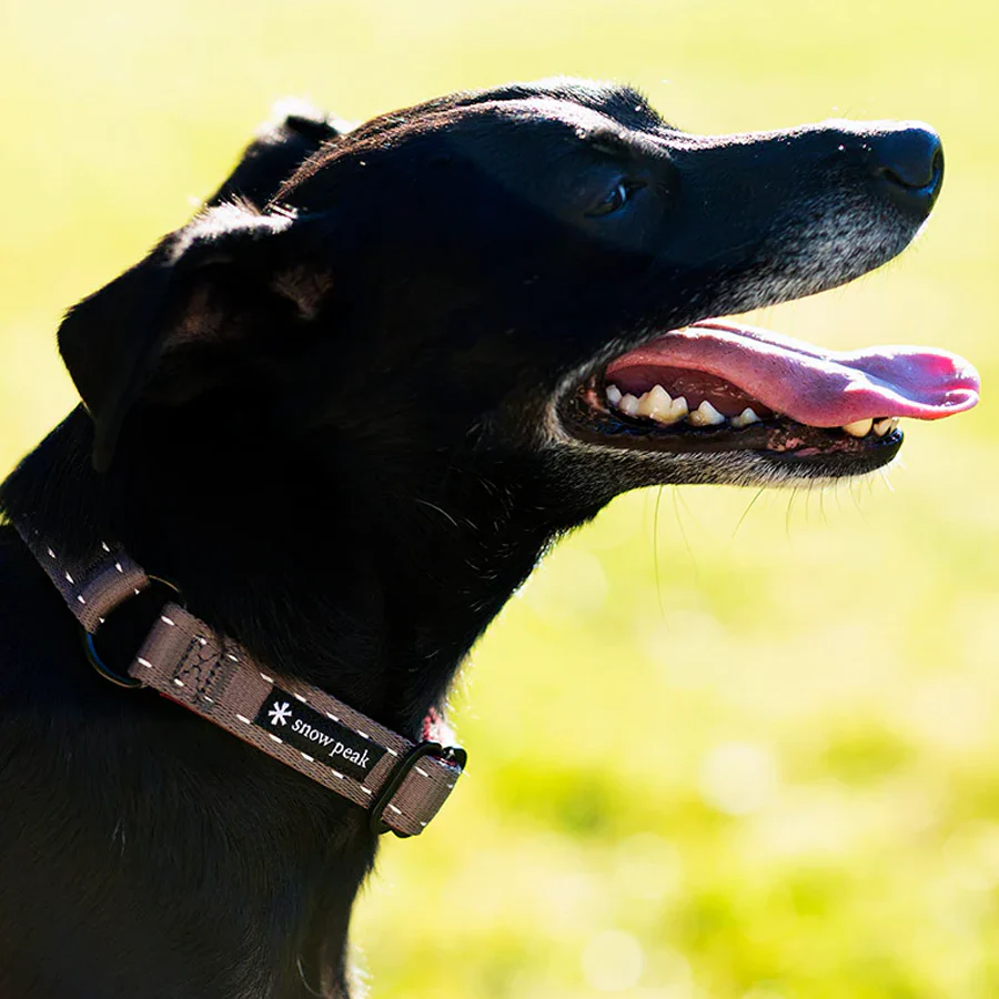 SP Slip Collar S Olive - Image 3