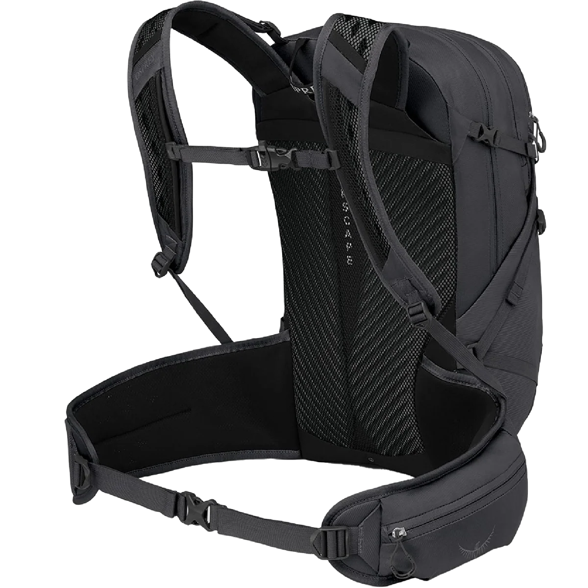Sportlite 25 EF - Image 3